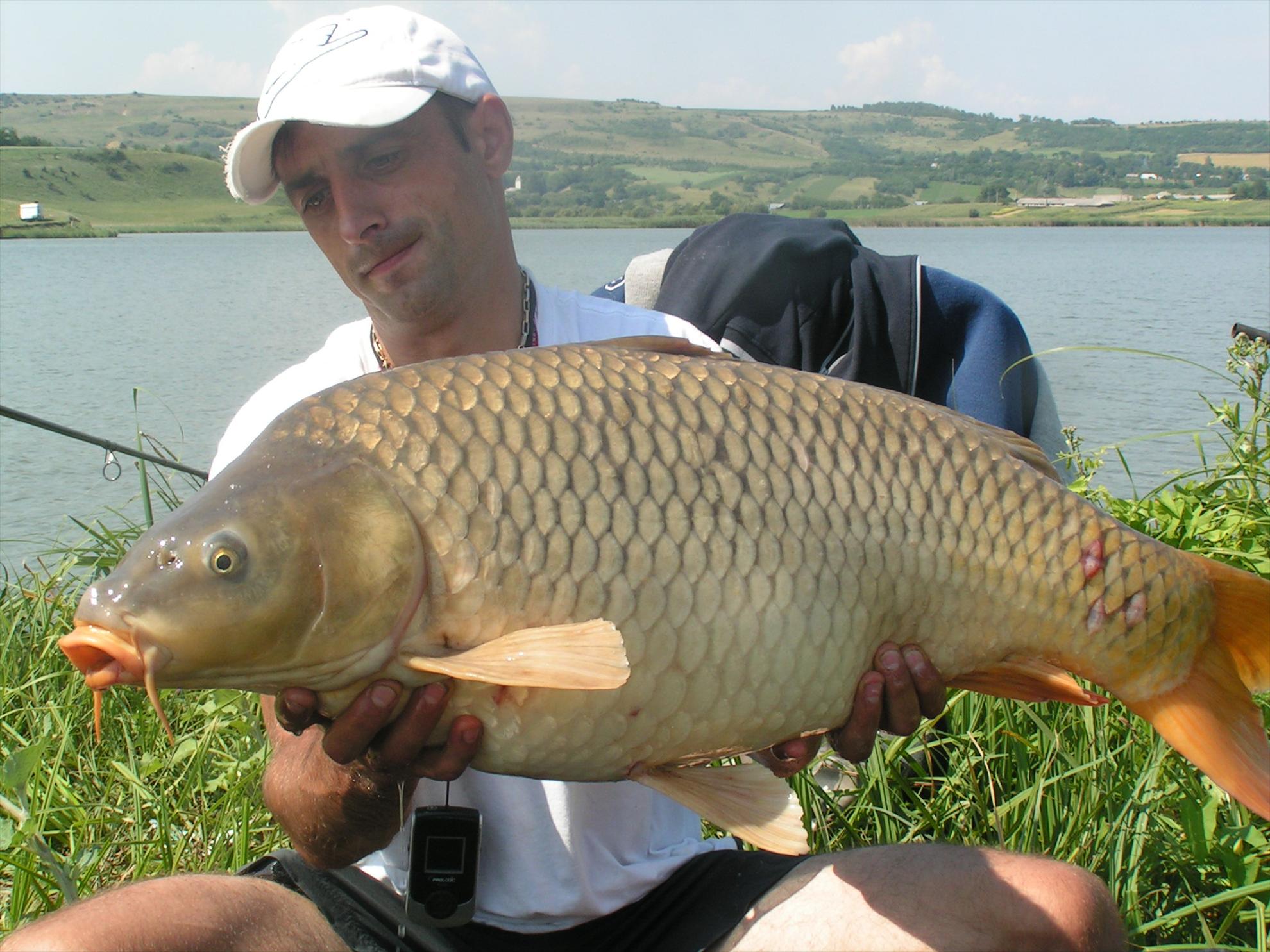 Lates 9-10.07.2012 - pict0895.JPG